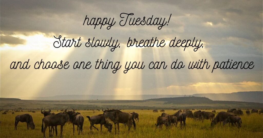 Happy Tuesday Image Messages for Friends